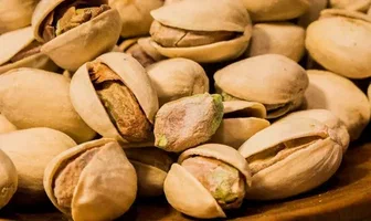 پسته فندقی عمده با حجم گسترده و کیفیت یکنواخت